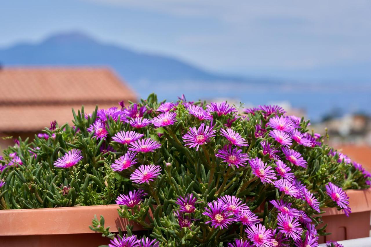 Sine Tempore Apartment Sorrento Bagian luar foto